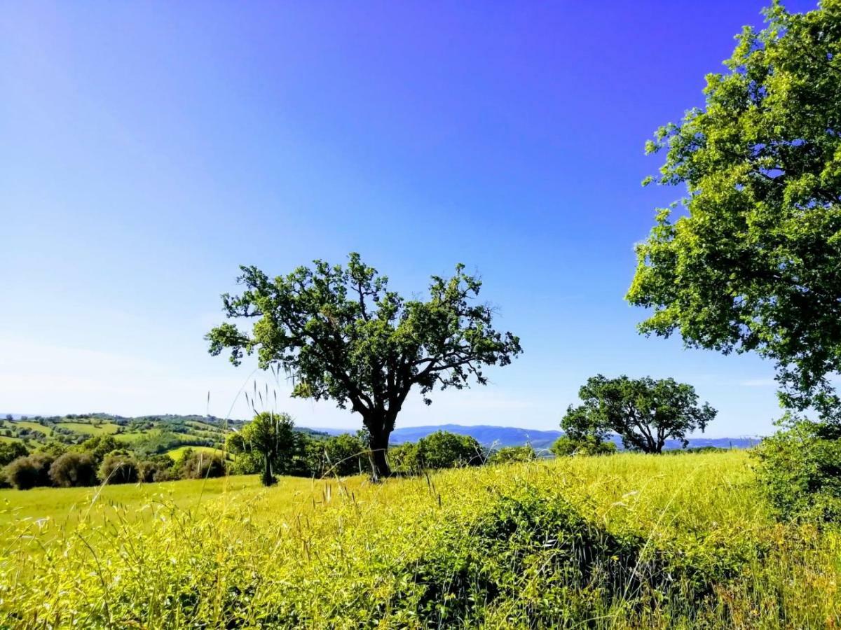 B&B Maremma'S Dream Catabbio Exterior foto